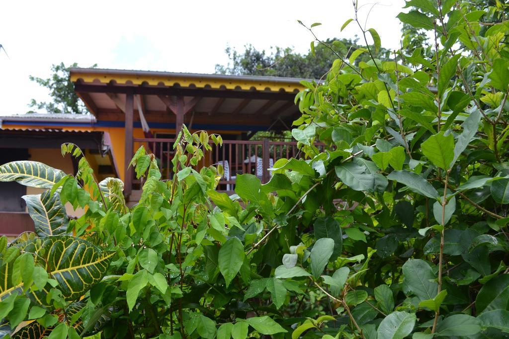 L'Ecomusee Creole De La Guadeloupe Сент-Роз Экстерьер фото